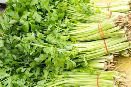 芹菜營(yíng)養(yǎng)價(jià)值品及分類上海蔬菜配送