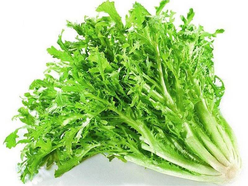 食材配送從生產(chǎn)、采摘再到蔬菜配送無縫銜接